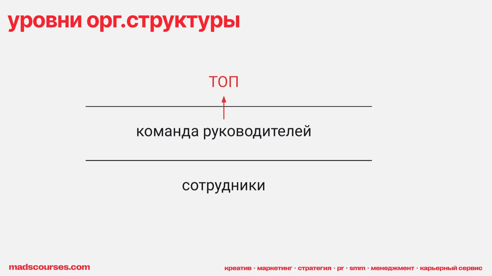 Слайд 3: Уровни оргструктуры