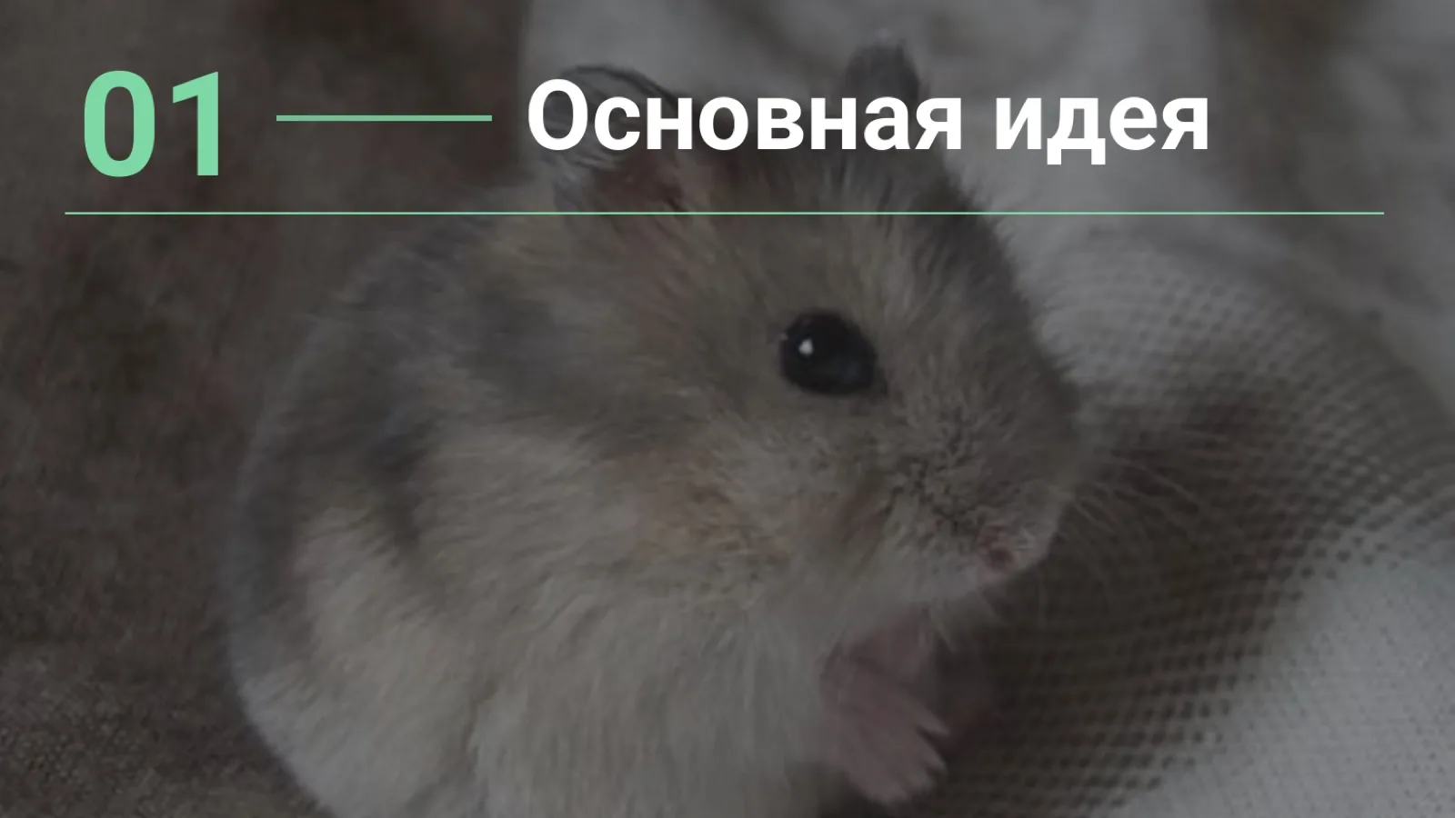 Слайд 4: 01 — Основная идея
